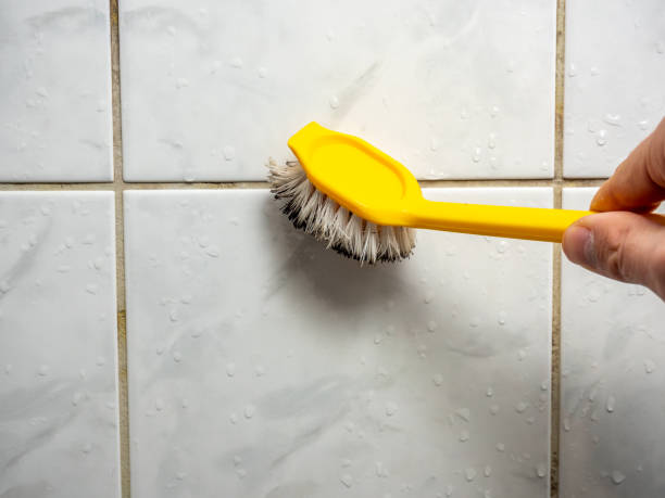 Whitesboro, AL Mold Remediation Company