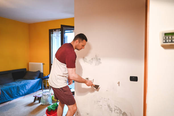 Best Bathroom Mold Remediation in Whitesboro, AL